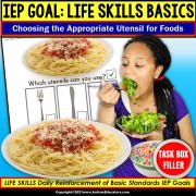 Life Skills Special Education | CHOOSING EATING UTENSILS Task Box Filler